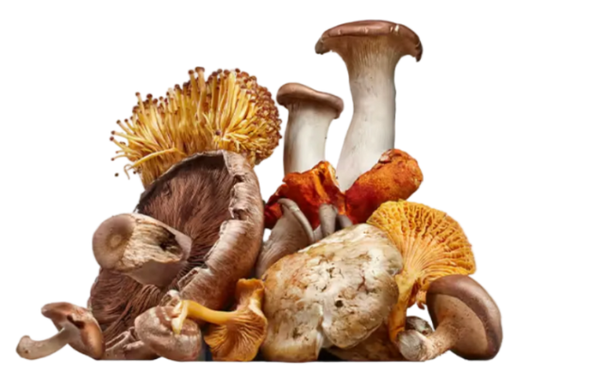 Beta-Glucans
